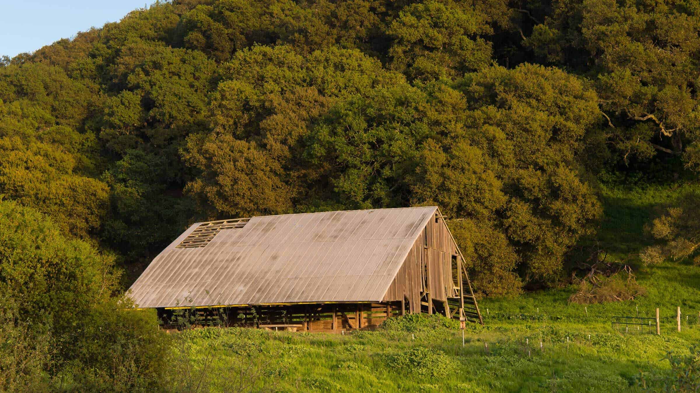 Old barn in American Canyon Napa Valley