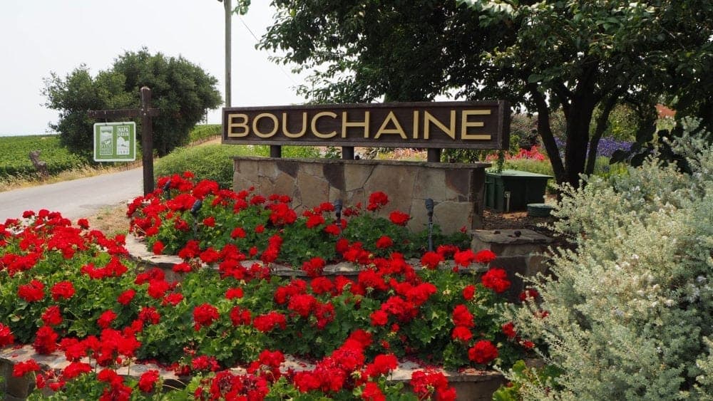 Bouchaine Vineyards