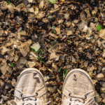 Napa River and Bay Trail sneakers on beach