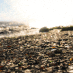 Napa River and Bay Trail beach