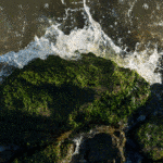 Napa river and Bay trail bay water splashing on a rock