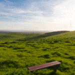 Jack and Bernice Newell Open Space Preserve American Canyon Napa Valley bench overlooking field