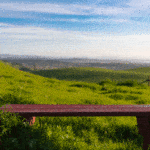 Jack and Bernice Newell Open Space Preserve American Canyon Napa Valley bench overlooking grassy hills