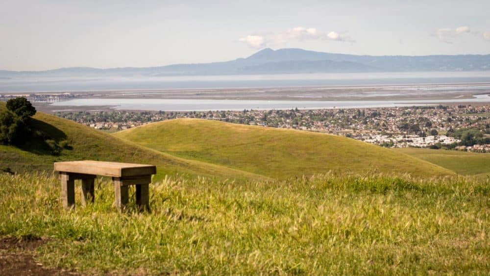 Outdoor Adventures with a Taste of the Bay